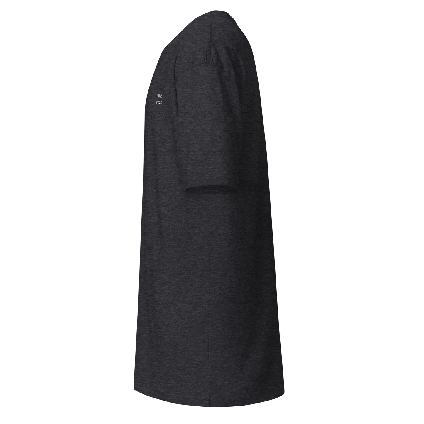 Anes Ceck™ LTD - Embroidered Men’s premium heavyweight tee